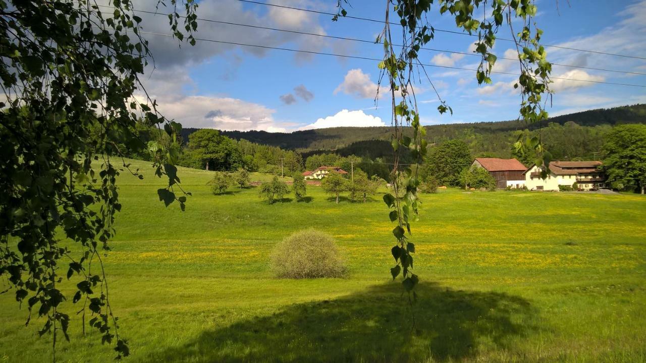 Ferien Vom Ich, Bayerischer Wald, Hotel & Restaurant Neukirchen  Exterior photo